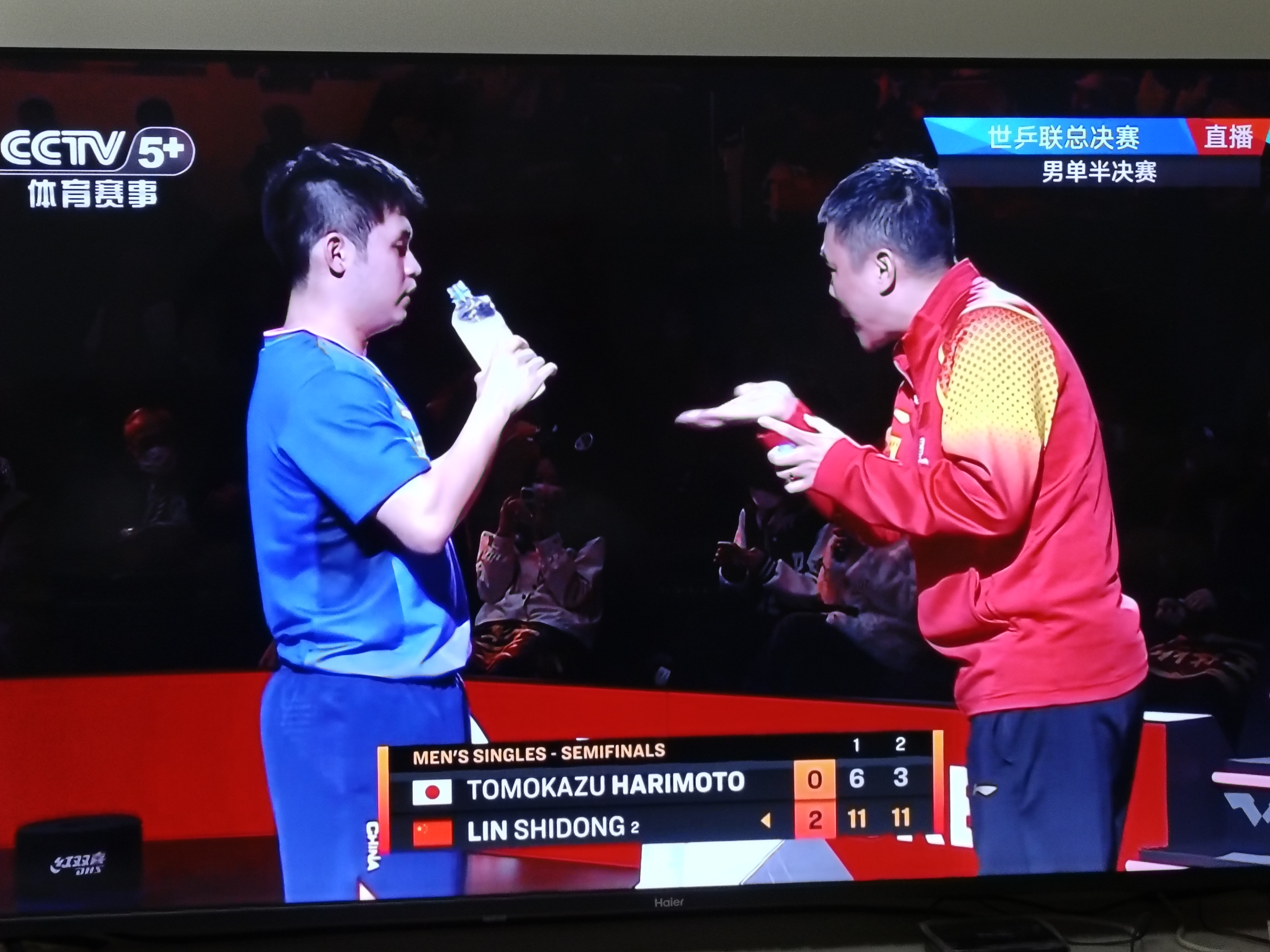 德国队横扫葡萄牙队,张本智和关键制胜的简单介绍 德国队横扫葡萄牙队,张本智和关键制胜的简单介绍